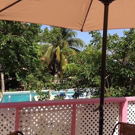Hummingbirds Cabins Caye Caulker Bilik gambar