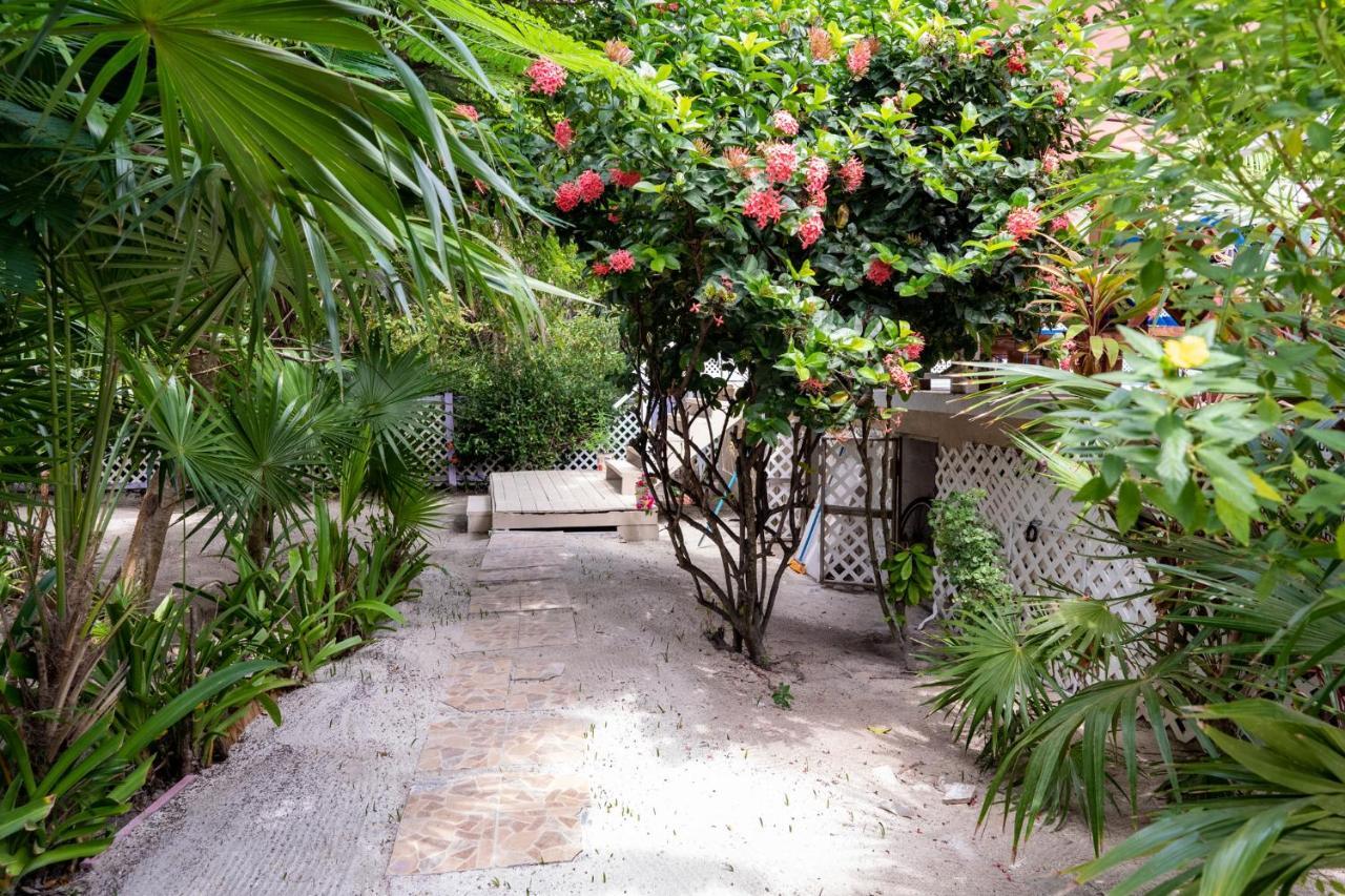 Hummingbirds Cabins Caye Caulker Luaran gambar